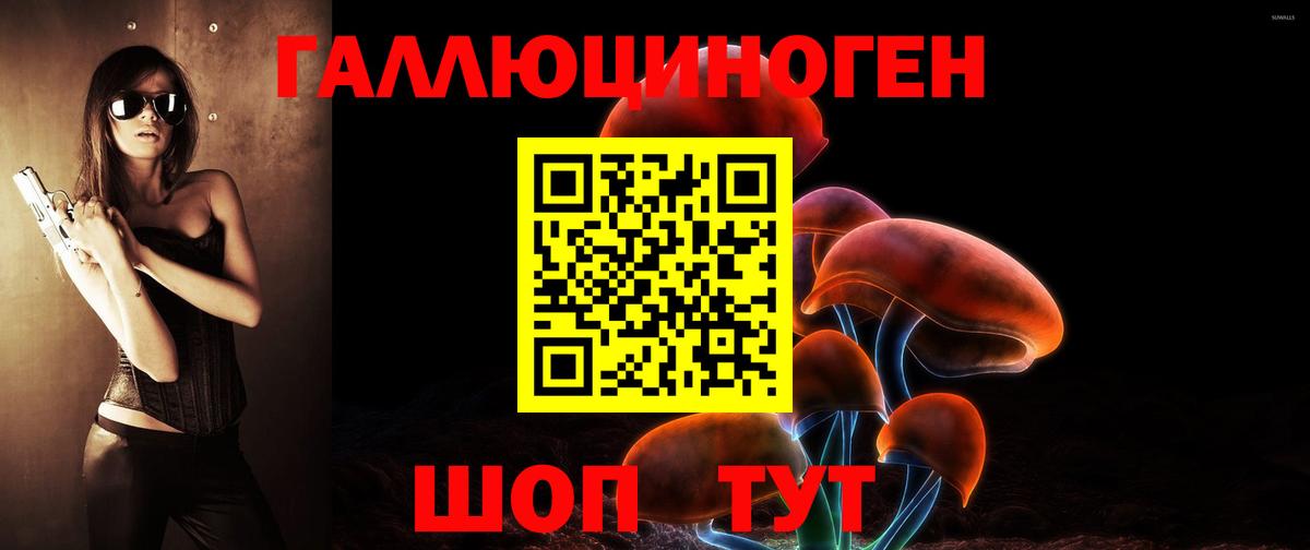 Гулькевичи  Псилоцибиновые грибы GOLDEN TEACHER  купить  цена  Вход с VPN 